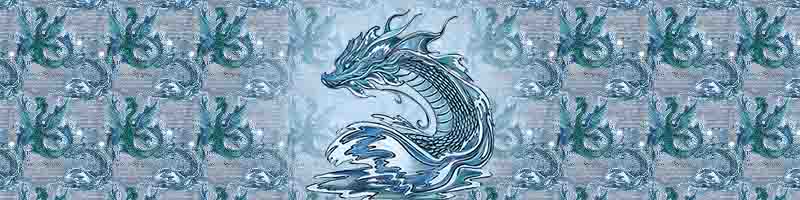 assets/images/Sea Dragon carousel banner.jpg